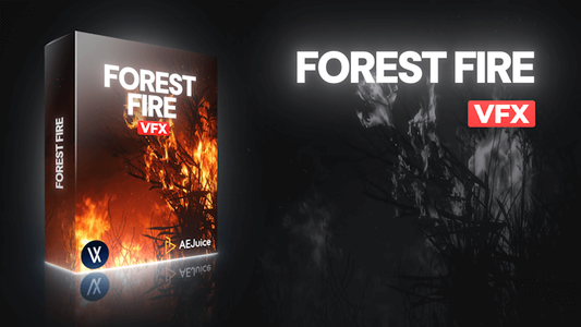 Forest Fire