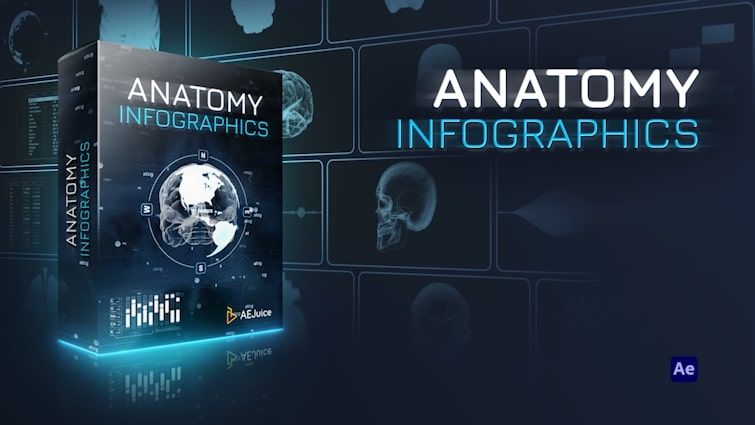 Anatomy Infographics